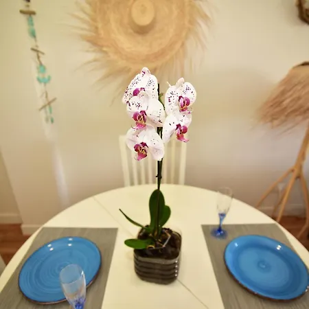 公寓 Casa Ati.ko Cotillo